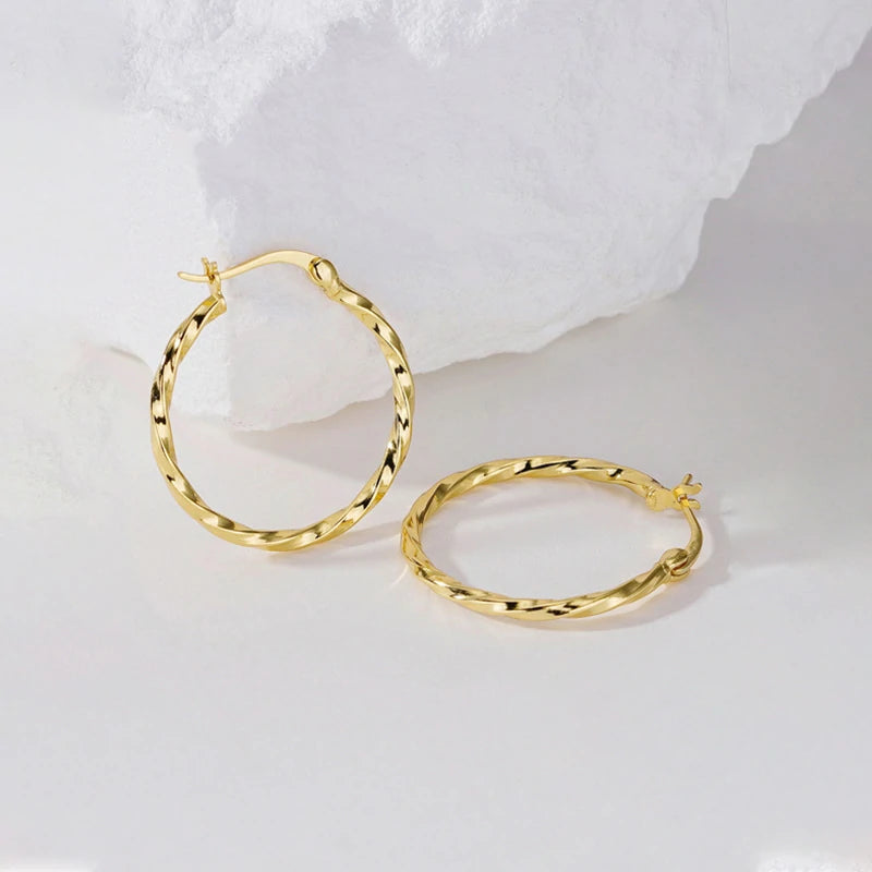 Twisted Geometry Earrings | Pair