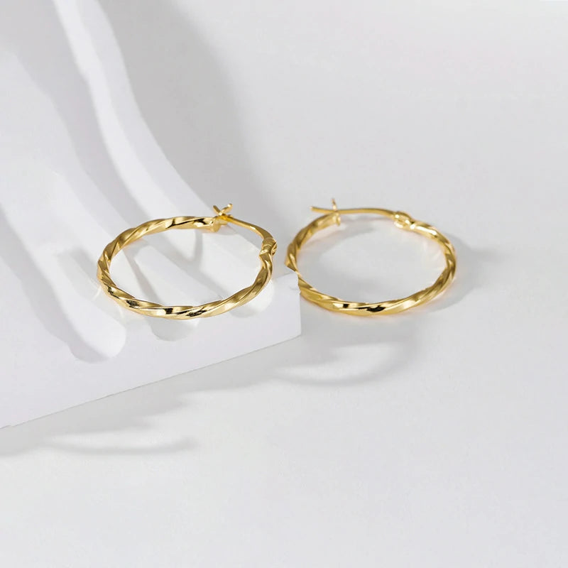 Twisted Geometry Earrings | Pair