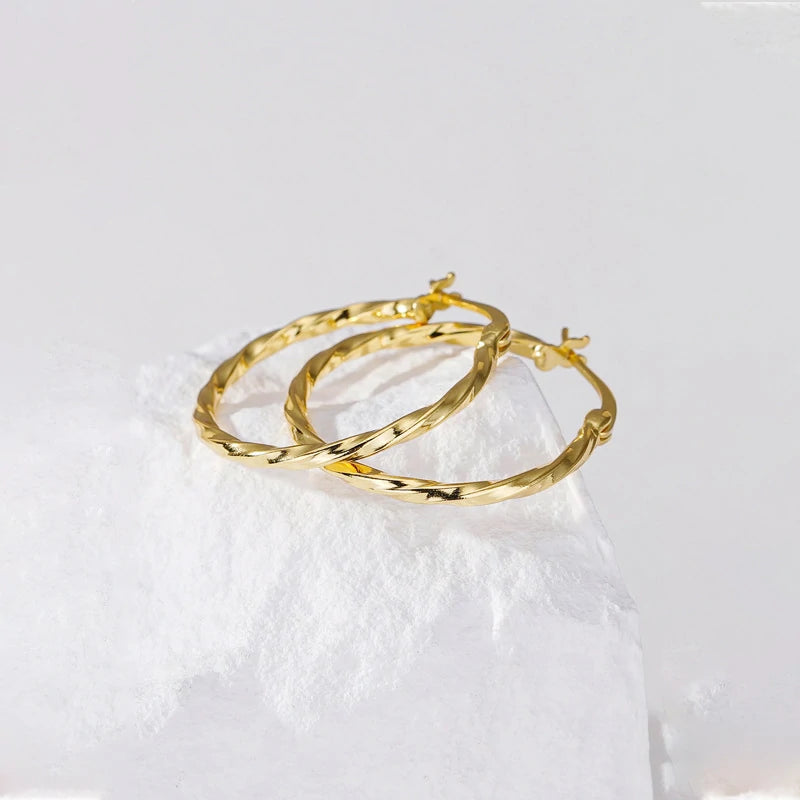 Twisted Geometry Earrings | Pair